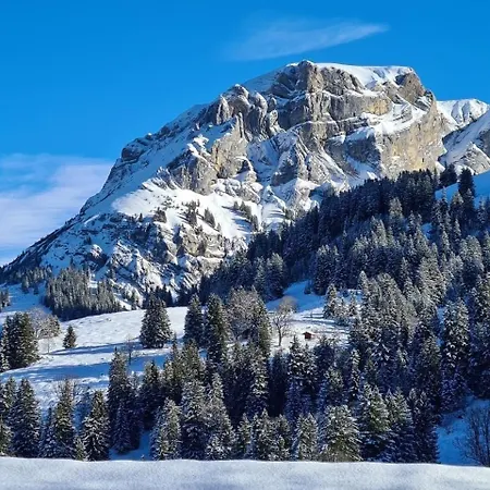 Specht, Gemuetliche Bergferien Auf Der * Axalp