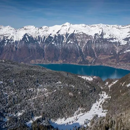 Specht, Gemuetliche Bergferien Auf Der