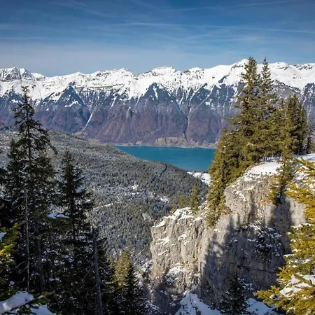 Specht, Gemuetliche Bergferien Auf Der Axalp